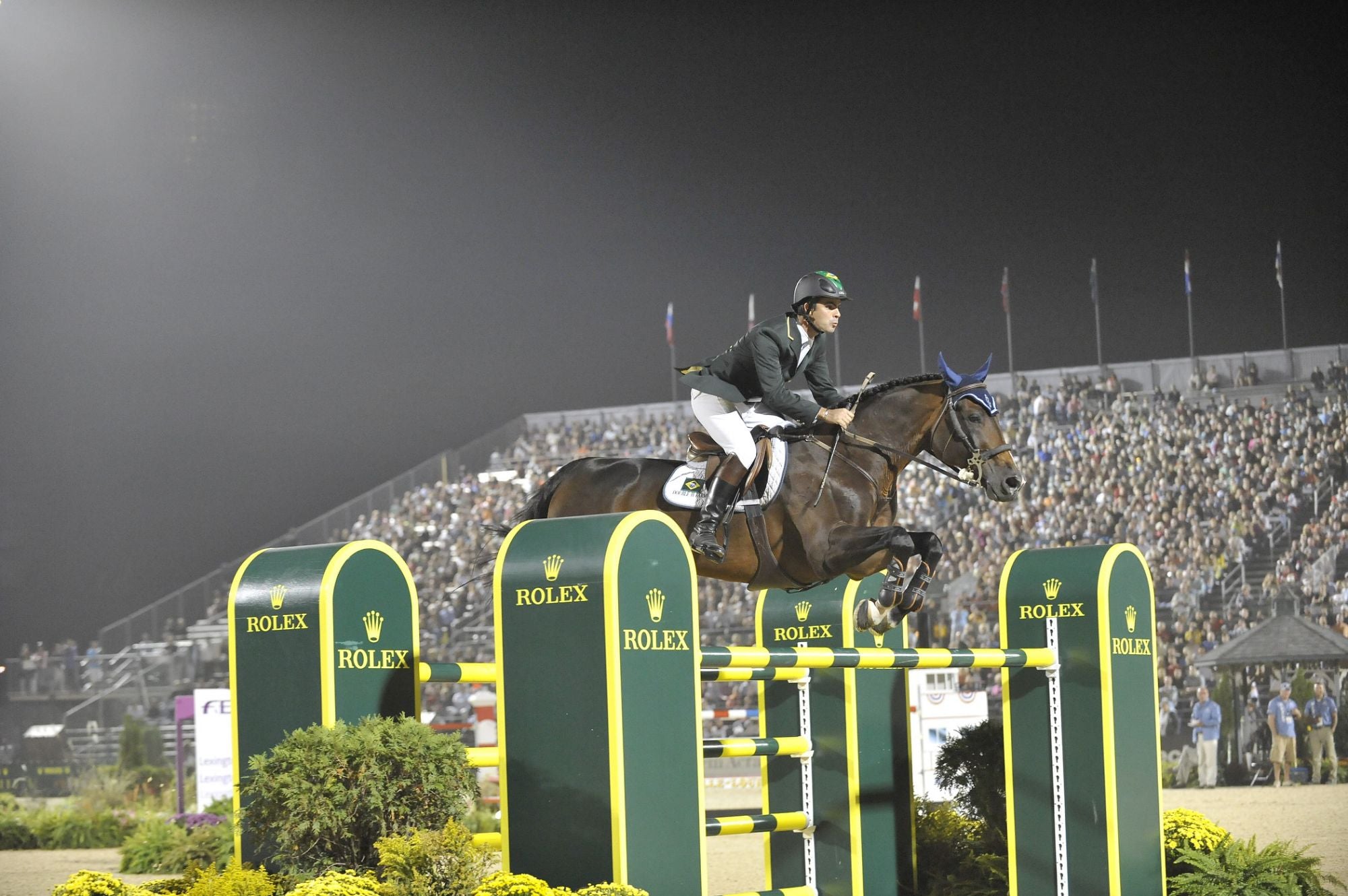 Horse jumping over bars at a competition